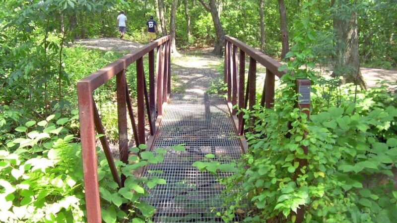 Meroke Preserve - Bellmore, NY