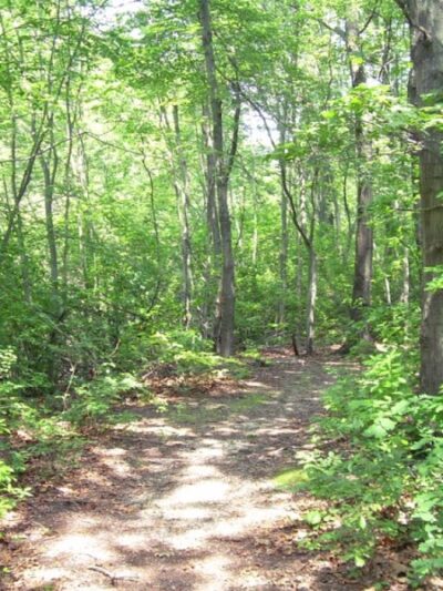 Meroke Preserve - Bellmore, NY