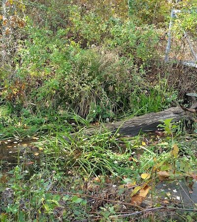 Meroke Preserve - Bellmore, NY