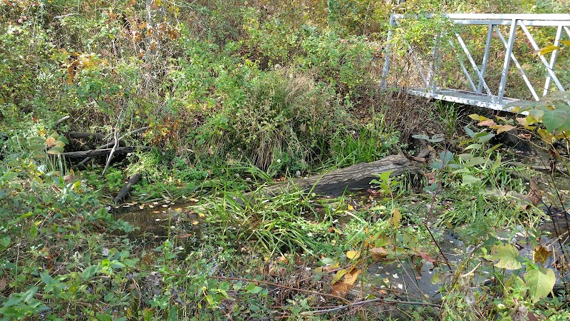 Meroke Preserve - Bellmore, NY