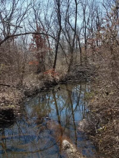 Meroke Preserve - Bellmore, NY