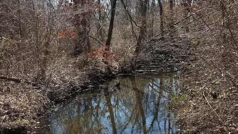 Meroke Preserve - Bellmore, NY