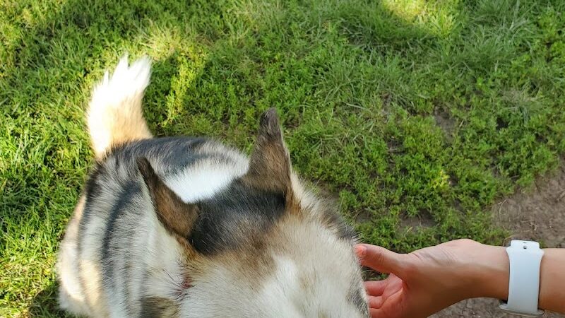 City Of Beloit Dog Park - Beloit, WI