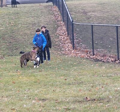 City Of Beloit Dog Park - Beloit, WI