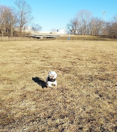 City Of Beloit Dog Park - Beloit, WI