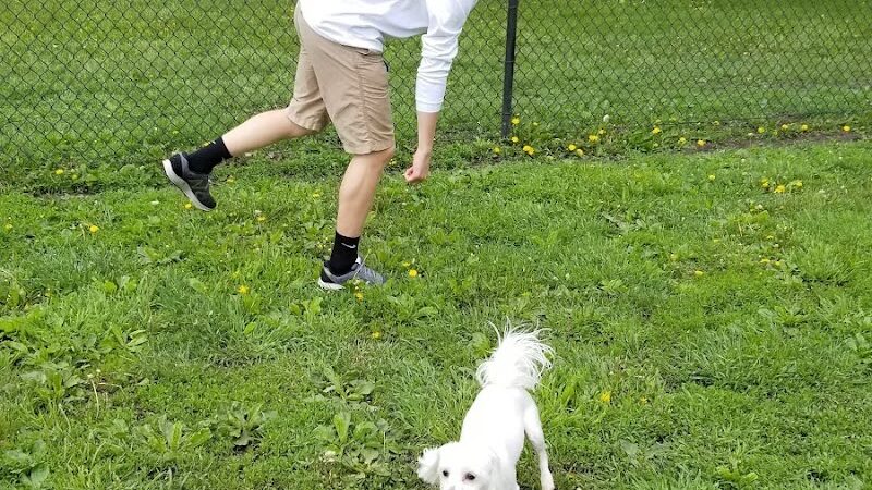 City Of Beloit Dog Park - Beloit, WI