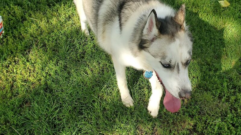 City Of Beloit Dog Park - Beloit, WI