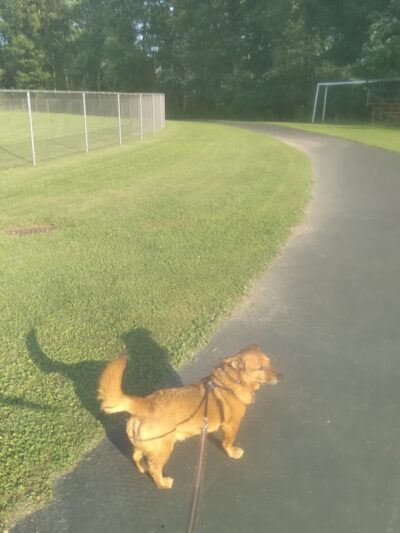 Town of Ellery Park - Bemus Point, NY
