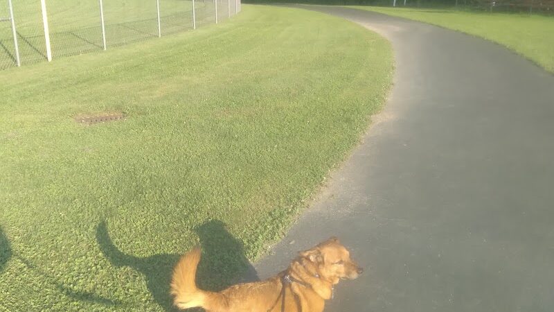 Town of Ellery Park - Bemus Point, NY