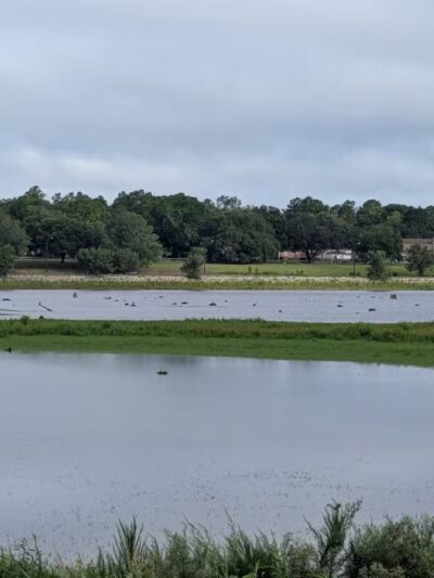 Lake Wallace Walking Trail - Bennettsville, SC
