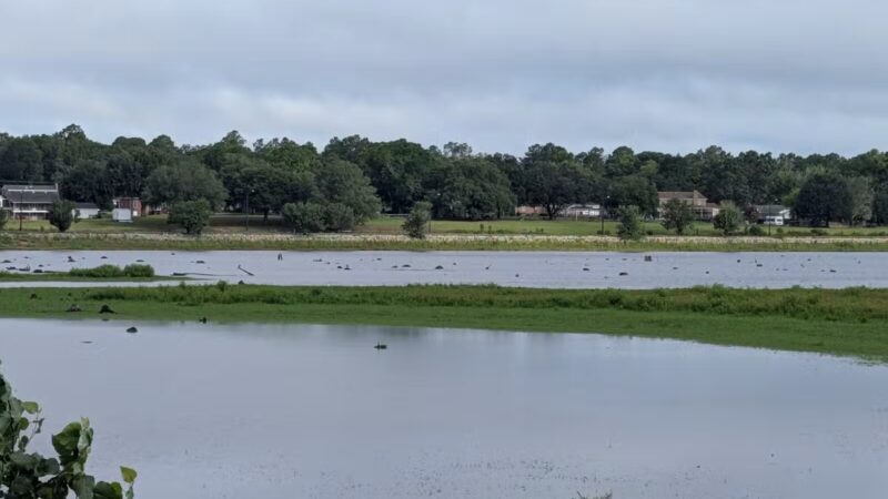 Lake Wallace Walking Trail - Bennettsville, SC