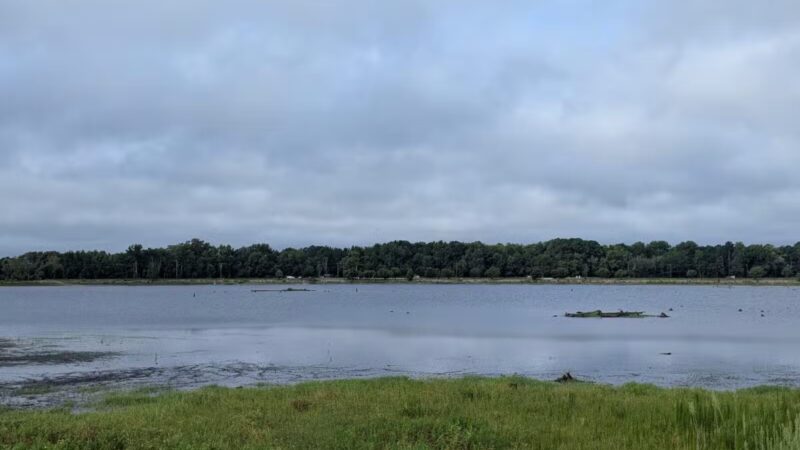 Lake Wallace Walking Trail - Bennettsville, SC