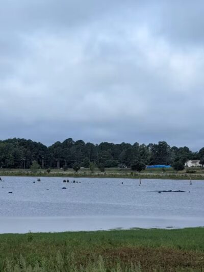 Lake Wallace Walking Trail - Bennettsville, SC