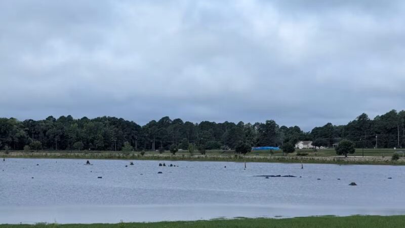 Lake Wallace Walking Trail - Bennettsville, SC