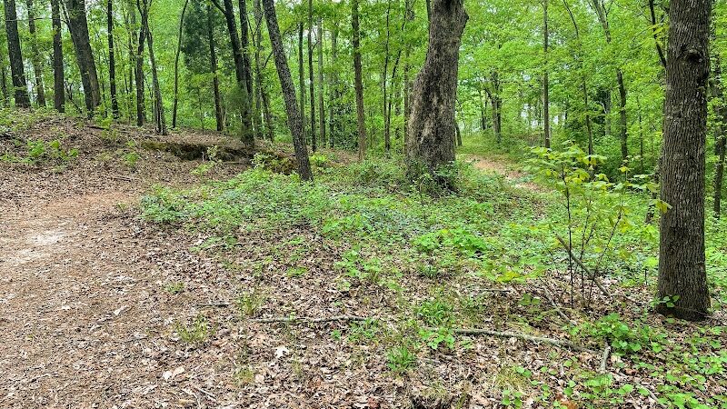 Lake Wallace Walking Trail - Bennettsville, SC
