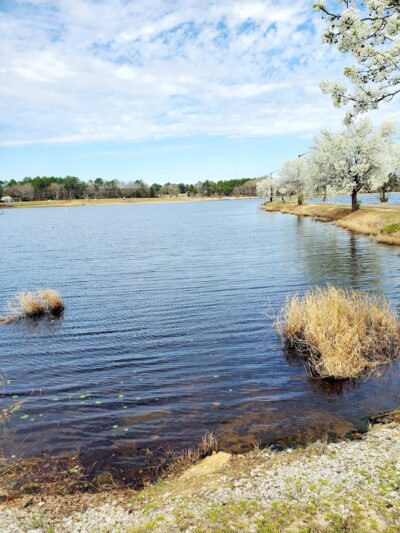 Lake Wallace Walking Trail - Bennettsville, SC