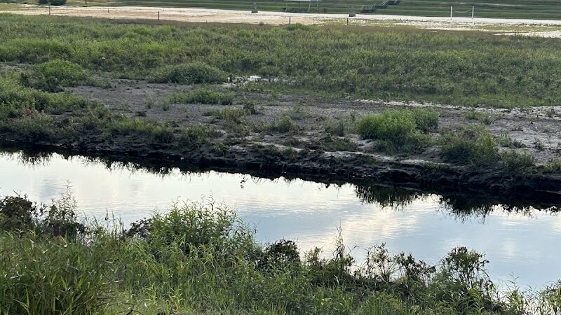 Lake Wallace Walking Trail - Bennettsville, SC