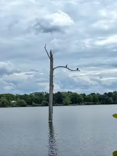 Lake Wallace Walking Trail - Bennettsville, SC