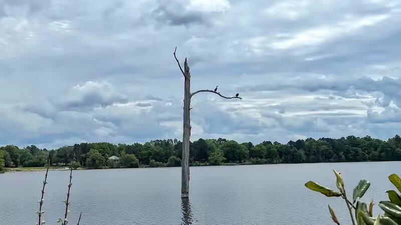 Lake Wallace Walking Trail - Bennettsville, SC