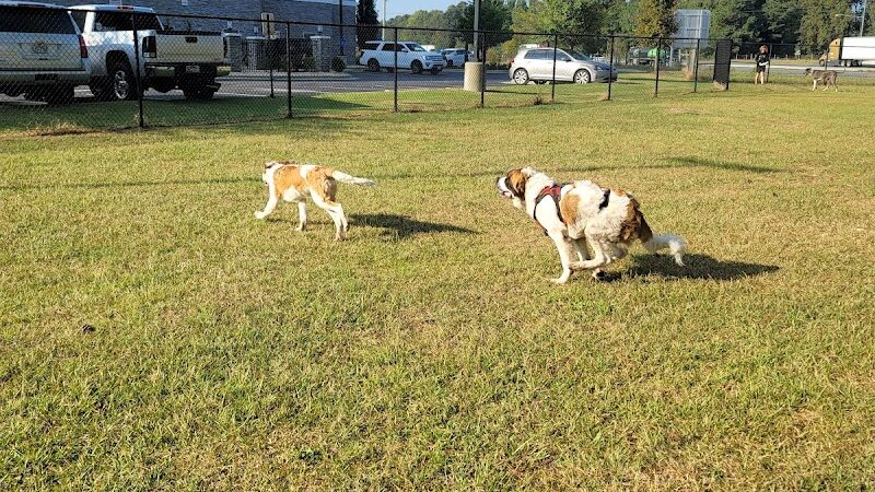 Benson Dog Park - Benson, NC