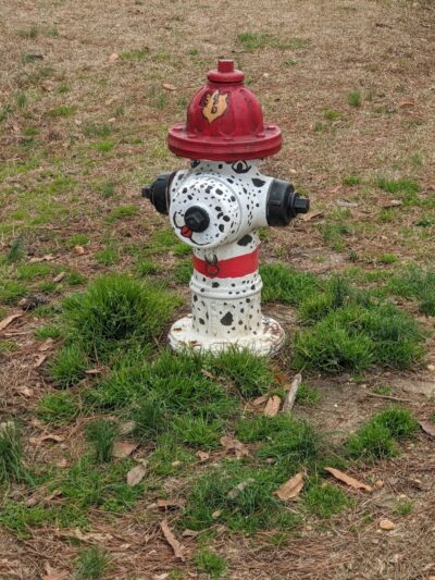 Benson Dog Park - Benson, NC