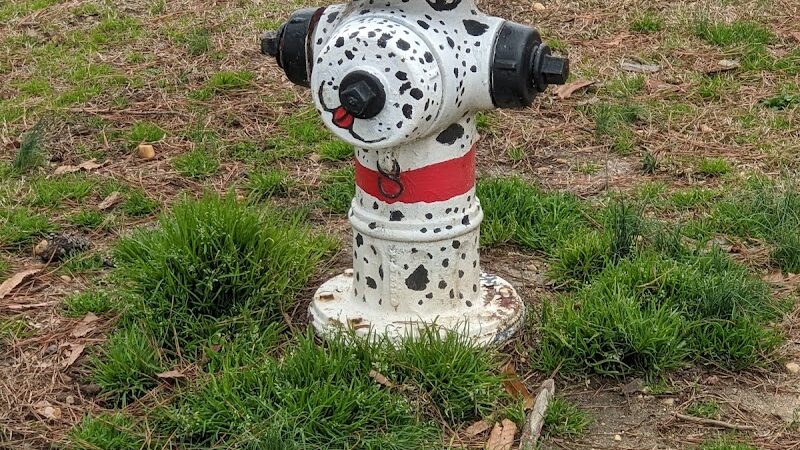 Benson Dog Park - Benson, NC