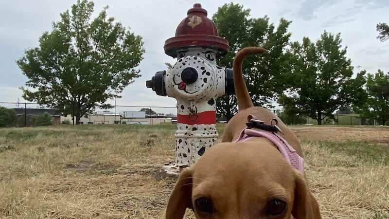 Benson Dog Park - Benson, NC
