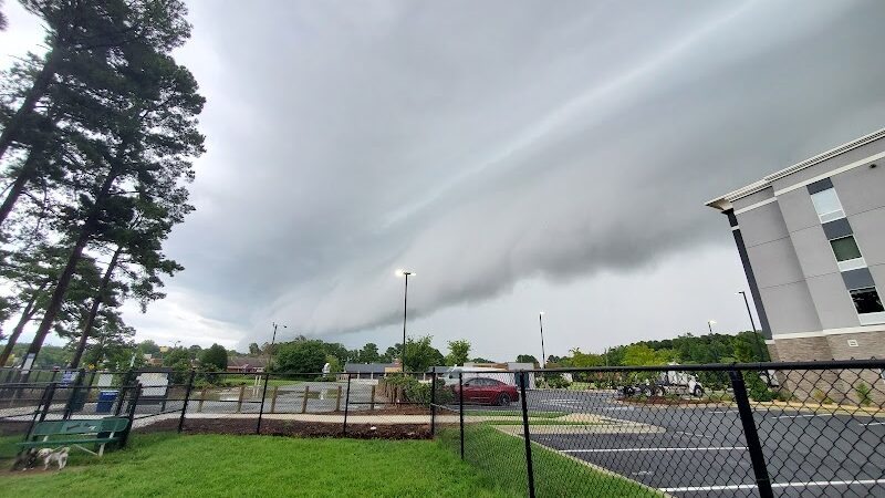 Benson Dog Park - Benson, NC