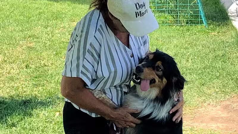 Badger Canyon Dogs - Benton City, WA