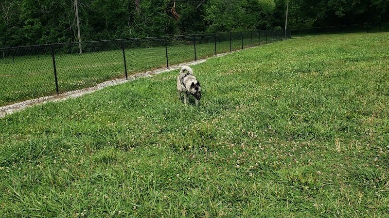 Tillie Memorial Dog Park - Berea, KY