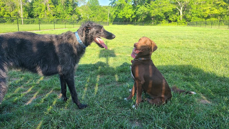Tillie Memorial Dog Park - Berea, KY