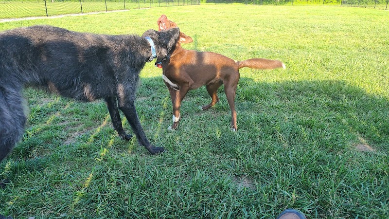 Tillie Memorial Dog Park - Berea, KY