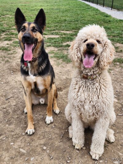 Tillie Memorial Dog Park - Berea, KY