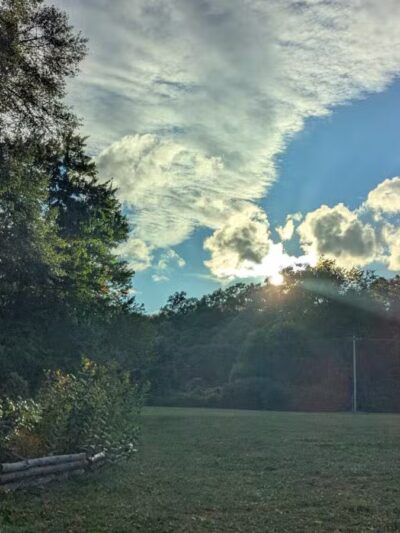 Tillie Memorial Dog Park - Berea, KY