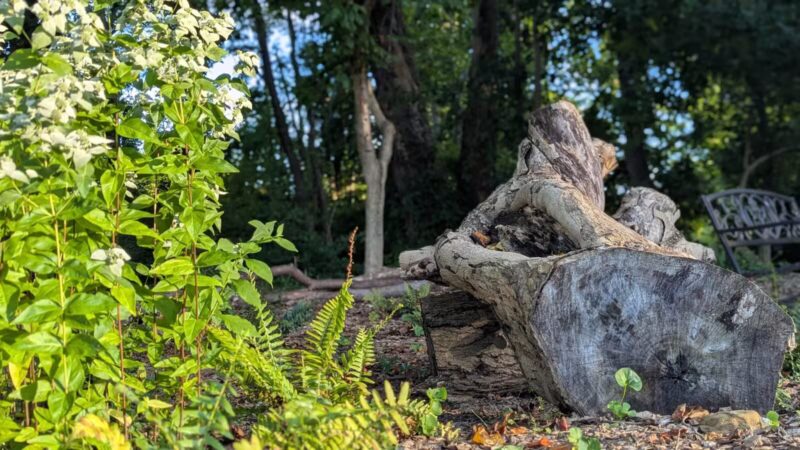 Tillie Memorial Dog Park - Berea, KY