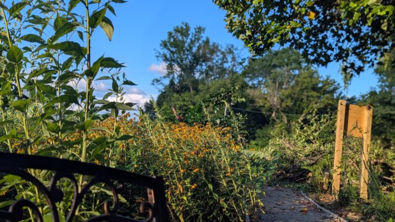 Tillie Memorial Dog Park - Berea, KY