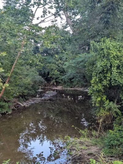 Tillie Memorial Dog Park - Berea, KY