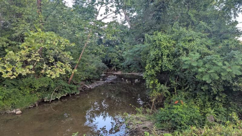 Tillie Memorial Dog Park - Berea, KY