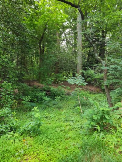 Berlin Park - Berlin, NJ