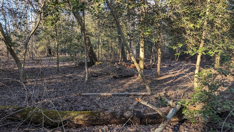 Berlin Park - Berlin, NJ