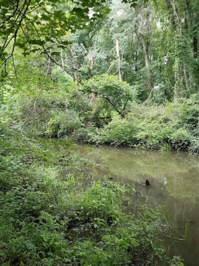 Berlin Park Trails - Berlin, NJ