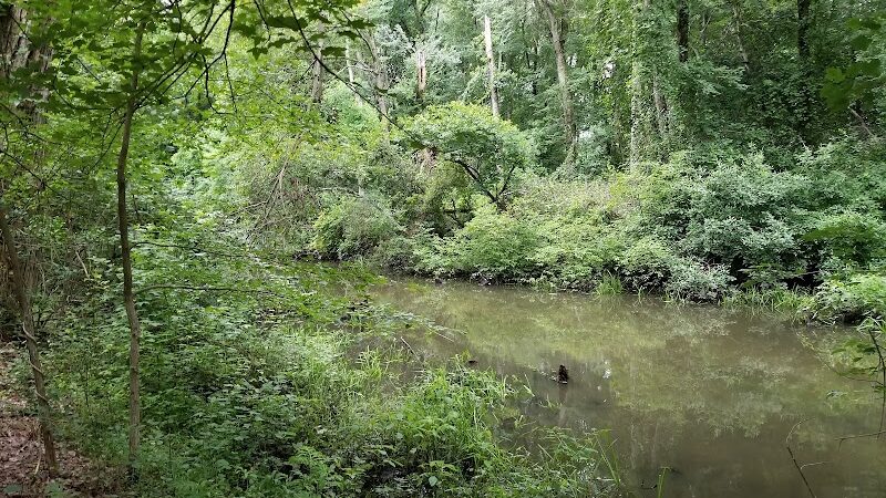 Berlin Park Trails - Berlin, NJ