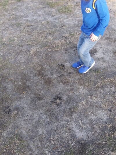 Winslow Township Albion Municipal Park - Berlin, NJ