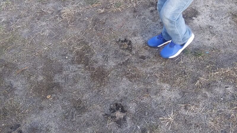 Winslow Township Albion Municipal Park - Berlin, NJ