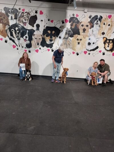 WonderDogs Canine Training & Activity Center - Berlin Township, NJ