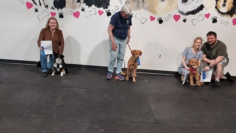 WonderDogs Canine Training & Activity Center - Berlin Township, NJ
