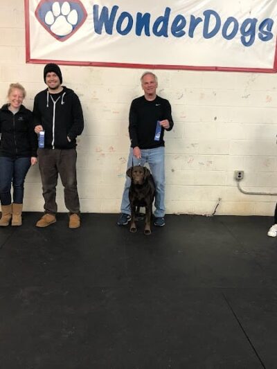 WonderDogs Canine Training & Activity Center - Berlin Township, NJ