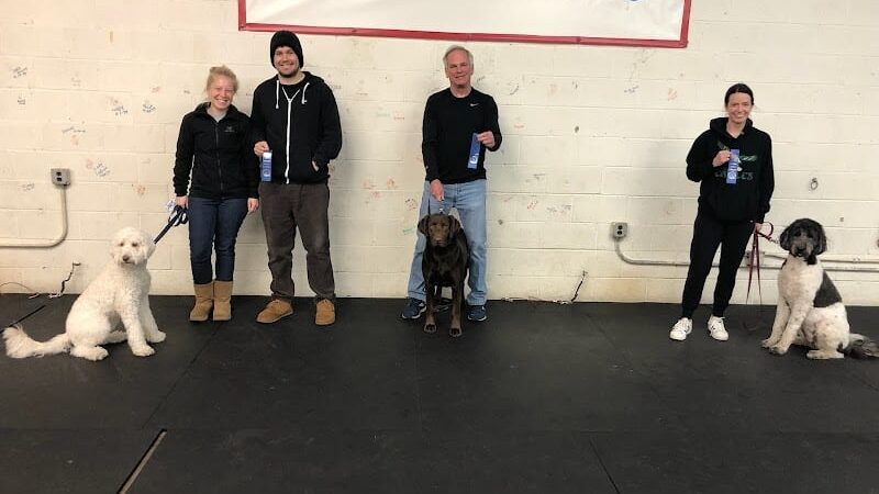 WonderDogs Canine Training & Activity Center - Berlin Township, NJ