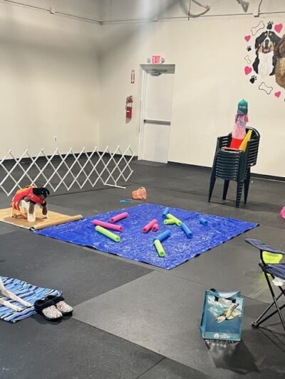 WonderDogs Canine Training & Activity Center - Berlin Township, NJ