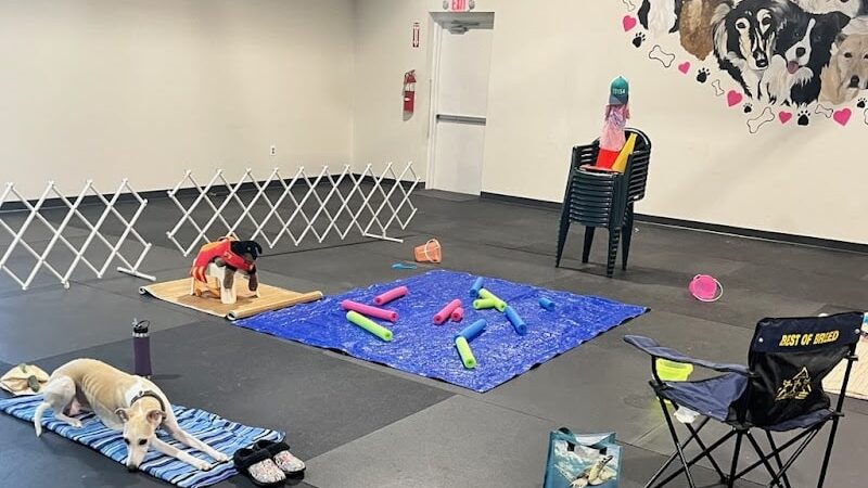 WonderDogs Canine Training & Activity Center - Berlin Township, NJ
